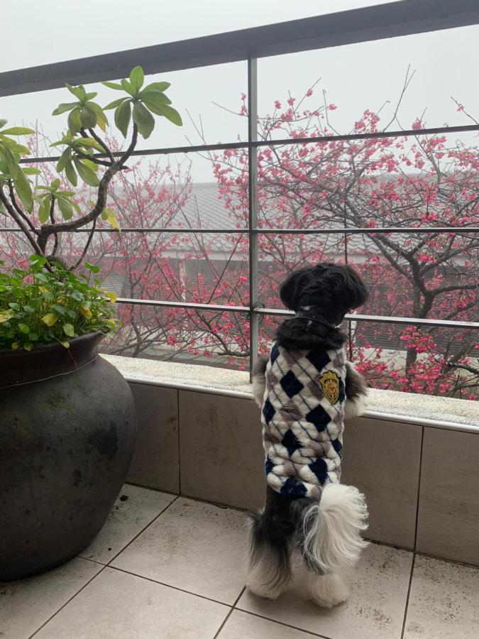 Sanyi Wei Wei Feng B&B 외부 사진